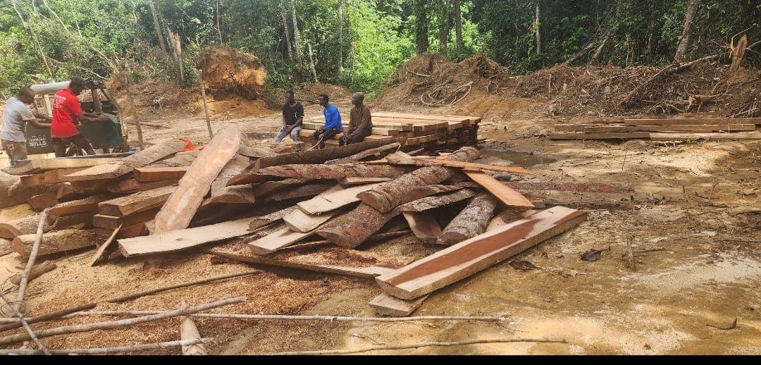 Team and timber at an outdoor work site