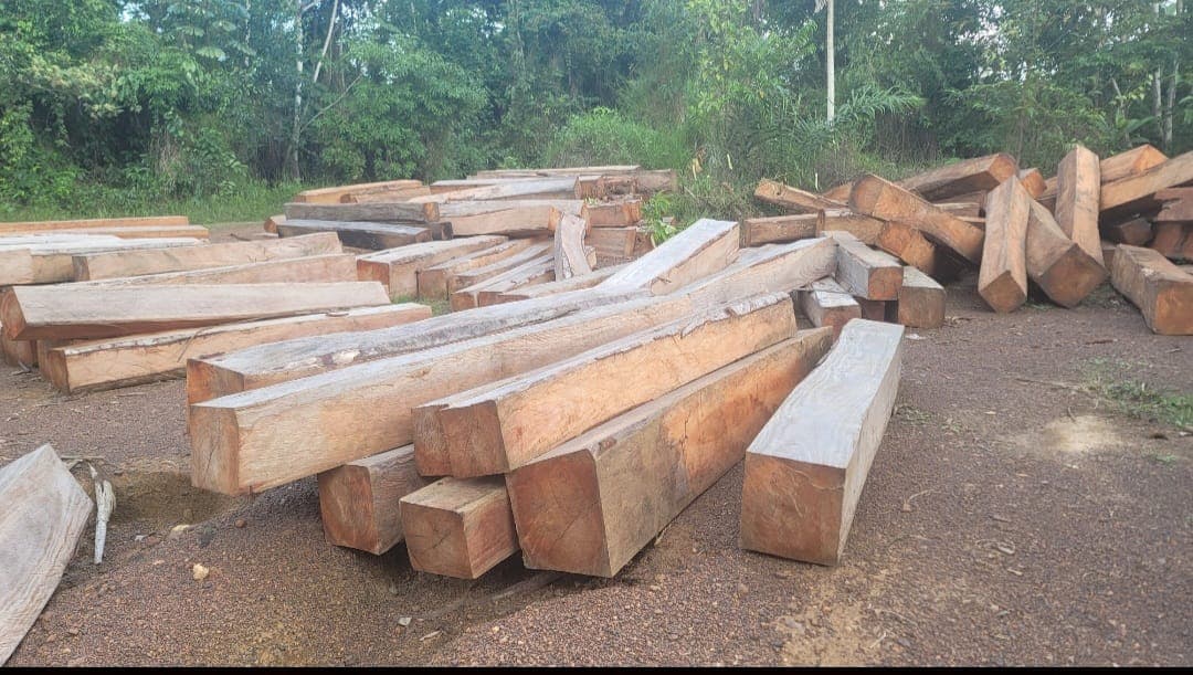 Timber beams at Westwood’s field site in Liberia